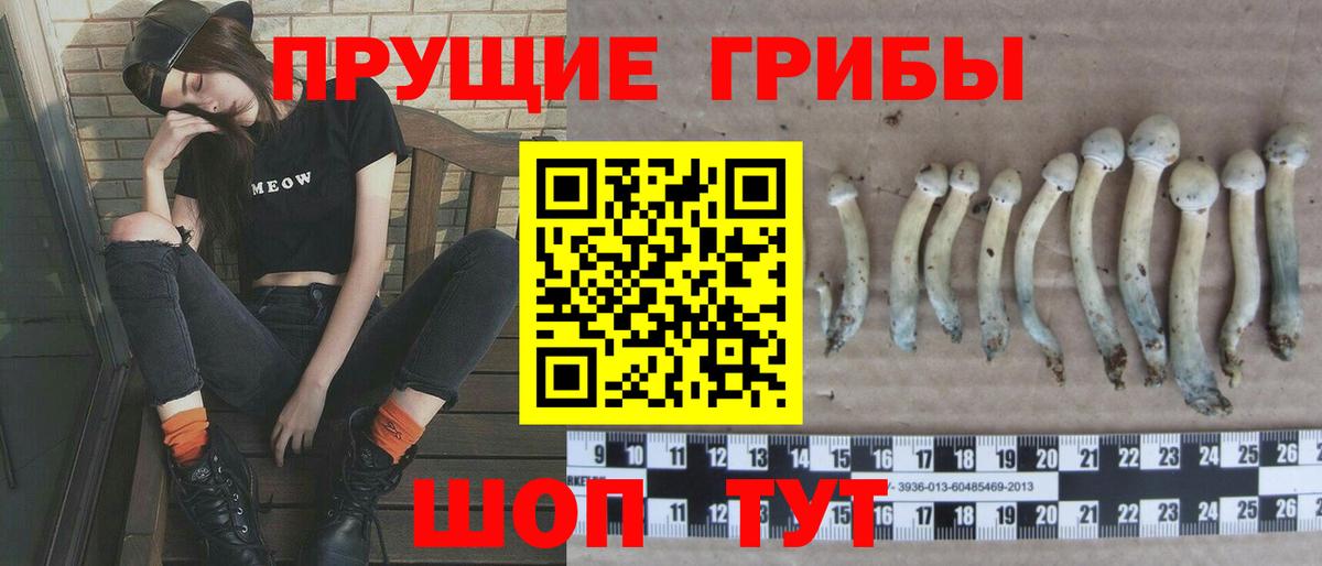 Волгоград  Галлюциногенные грибы GOLDEN TEACHER  Вход с VPN 