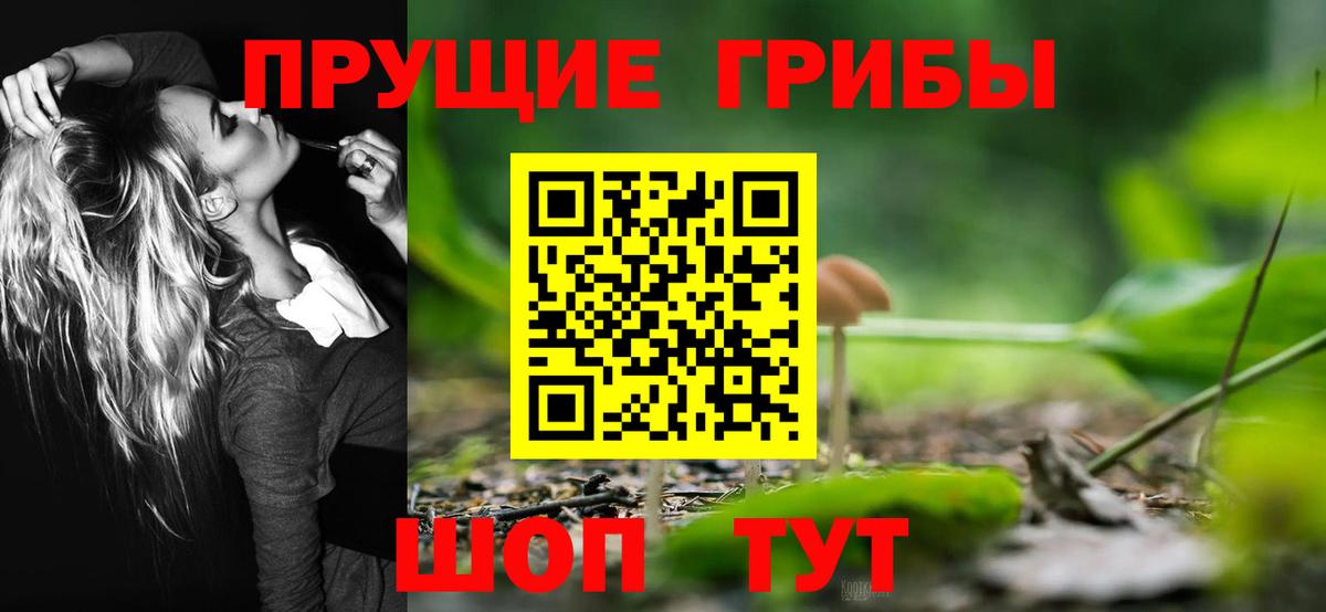 Галлюциногенные грибы Psilocybe Волгоград